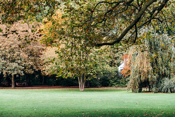 Wall Mural - Green is a beautiful Park. Park view