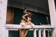 german shepherd dog posing by the wooden house