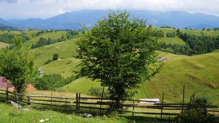 Wall Mural - beautiful rural landscape with the traditional village houses on a green grassy hills of Carpathians mountains in Transilvania Romania