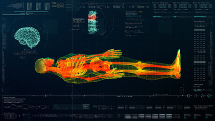 Poster - Futuristic head up display motion element virtual biomedical holographic human body scan neurological examination, axial skeleton, vertebral column, DNA and heart diagnostic for background display
