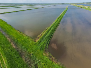 Flooded rice paddies. Agronomic methods of growing rice in the f