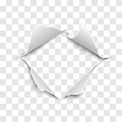 Wall Mural - Snatched middle of transparent paper with torn edges, soft shadow and empty space. Vector template paper design.
