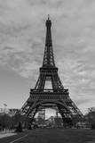 Fototapeta Paryż - The Eiffel Tower on a mild Winter day in December