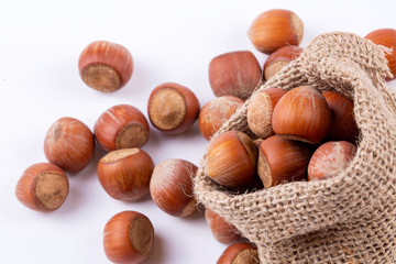 Wall Mural - Hazelnut on the white background