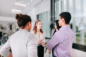 Wall Mural - Group of office workers at a meeting around the boss