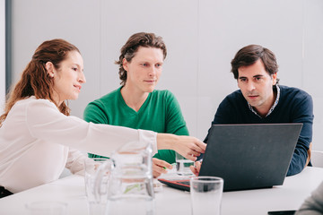 Wall Mural - Group of office workers at a meeting around the boss