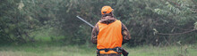 A Man With A Gun In His Hands And An Orange Vest On A Pheasant Hunt In A Wooded Area In Cloudy Weather. Hunter With Dogs In Search Of Game.