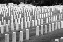 Arlington National Cemetery. Vintage Filtered Black And White Tone.