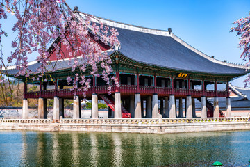 Sticker - gyeongbokgung palace in spring at seoul city south korea