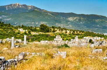 Wall Mural - Ancient city of Xanthos in Turkey