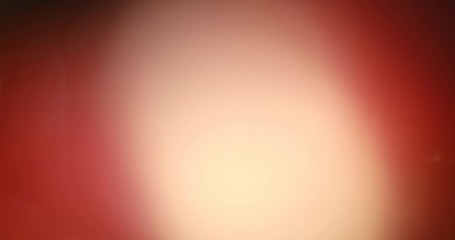 Wall Mural - abstract bokeh light background for overlay. real lens flare light effect. sparkle ray leak on black