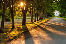 A Pedestrian Path Paved In The Park At Sunset Trees Cast Shadows