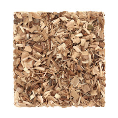 Poster - Poplar bark herb used in herbal medicine to treat  headaches, relieve pain, wounds, acne, sore joints, rheumatism, on white background. Populus alba.