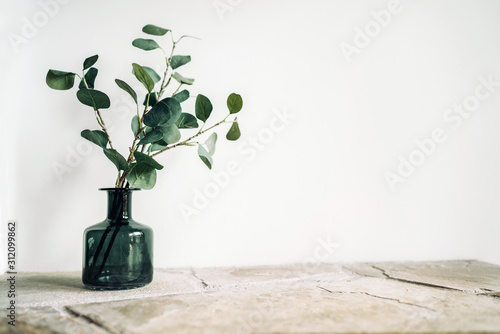 Cuadros en Lienzo Green tree Branch putted into black glass vase on the natural stone mantel shelf on the white color wall background lit with side window light