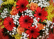 Luxurious bouquet of bright flowers. Floral composition of gerberas and roses in blossom. Colors of fresh summer nature.