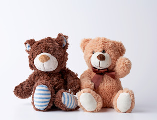 two plush brown witches sitting on a white background