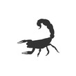 © LiveLove - scorpion icon vector illustration for graphic design and websites