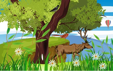 Wall Mural - Vector wildlife scene, deer and pheasant on the tree branch, forest trees on background.