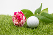 Golf ball with roses are on green grass for golfer's Valentine's Day