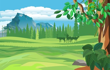 Wall Mural -  vector illustration of wildlife scene, forest, woodlands, green hills