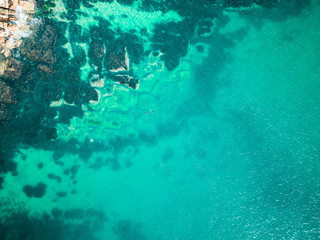 Wall Mural - Top down aerial of Shelly Beach, Manly, Sydney