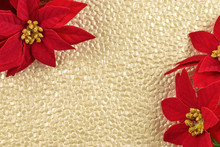 Festive Red And Gold Poinsettias On A Textured Gold Background