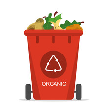 Organic Waste In The Trash Bin Vector Isolated