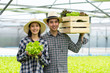© khwanchai - Farmer man and woman holding hydroponic in farm