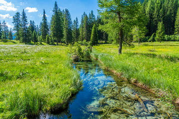 Wall Mural - Idyllic landscape at Lake Nambino, near Madonna di Campiglio. Province of Trento, Trentino Alto Adige, northern Italy.