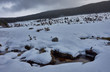 © JaviJfotografo - Snow in the Port of Canencia. National Park of the Sierra de Guadarrama. Madrid's community. Spain