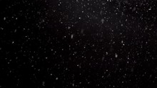 It Is Snowing In Cold Winter, Real Snow Falls On Black Background