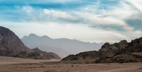 Wall Mural - panoramic view of desert with rocky mountains in Egypt