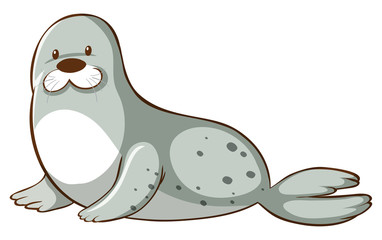 Sticker - Gray seal on white background