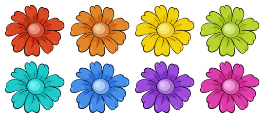 Wall Mural - isolated set of flowers