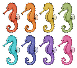 Wall Mural - isolated set of colorful seahorses