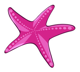 Wall Mural - Pink starfish on white background