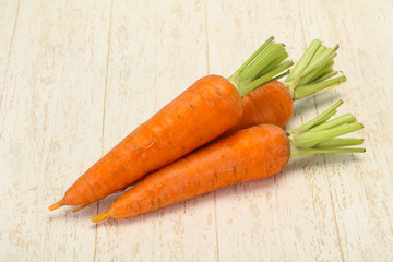 Three Young fresh ripe carrot