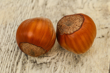 Two ripe tasty Whole hazelnut