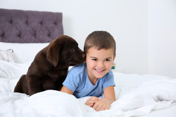 Canvas Print - Funny puppy and little boy on bed at home. Friendly dog