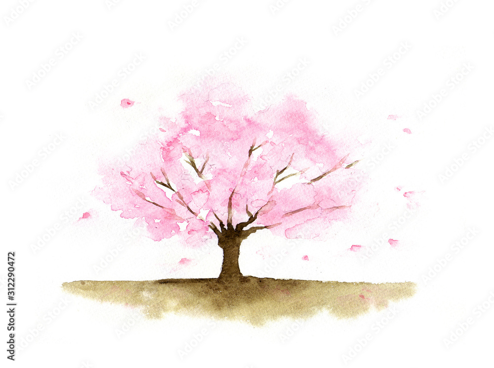 Illustration Stock 桜の木水彩画 | Adobe Stock