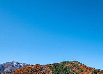 a beautiful autumn and spring in Japan