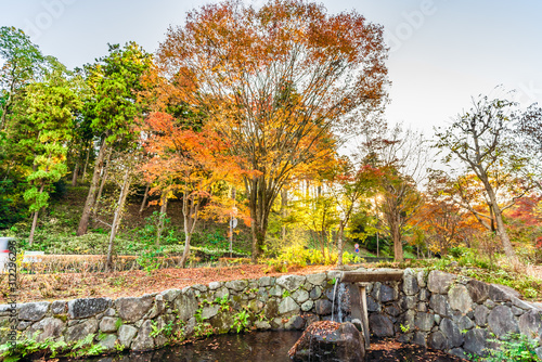 日本の秋 水戸偕楽園公園 もみじ谷の紅葉 Stock Photo Adobe Stock 日本の秋 水戸偕楽園公園 もみじ谷の紅葉 Stock Photo Adobe Stock