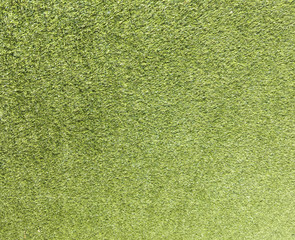 Beautiful green grass texture use as natural background for design in outdoor