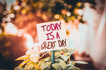 Wall Mural - Handwriting text writing Today Is A Great Day. Conceptual photo Enjoying the moment great weather Having fun Plain empty paper attached to a stick and placed in the green leafy plants