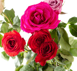 Beautiful rose bouquet isolated on a white