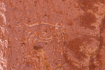 Wall Mural - Petroglyph at Jere Valley near San Pedro de Atacama in Chile.