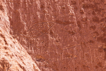 Wall Mural - Petroglyph at Jere Valley near San Pedro de Atacama in Chile.