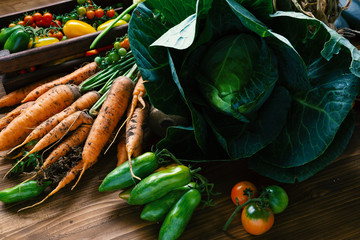 Wall Mural - Fresh vegetables and green cabbage on wooden background