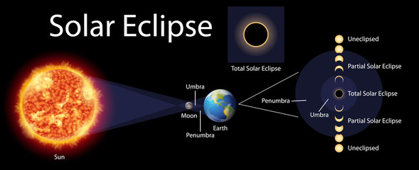 Wall Mural - Diagram showing solar eclipse with sun and earth