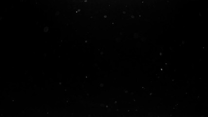 particles on black background, abstract overlay with particles and bokeh